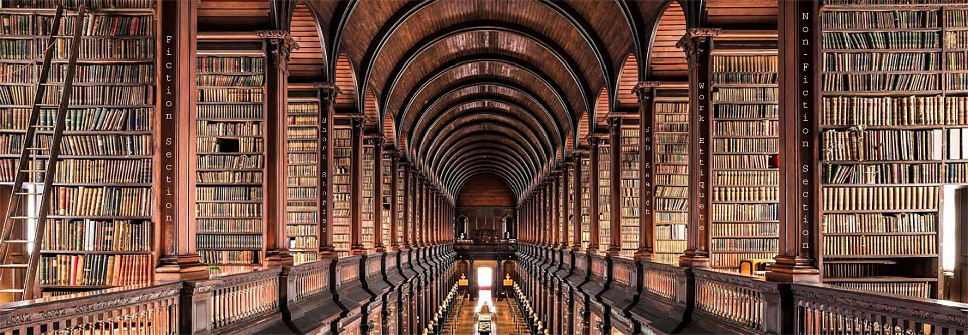 Books for millennials on careers and job-hunting